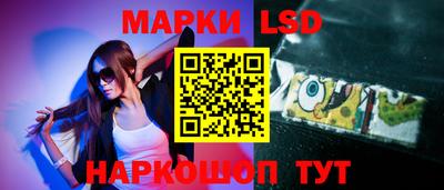 стафф Бийск