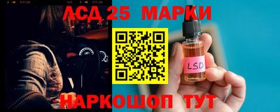 ALPHA PVP Гудермес