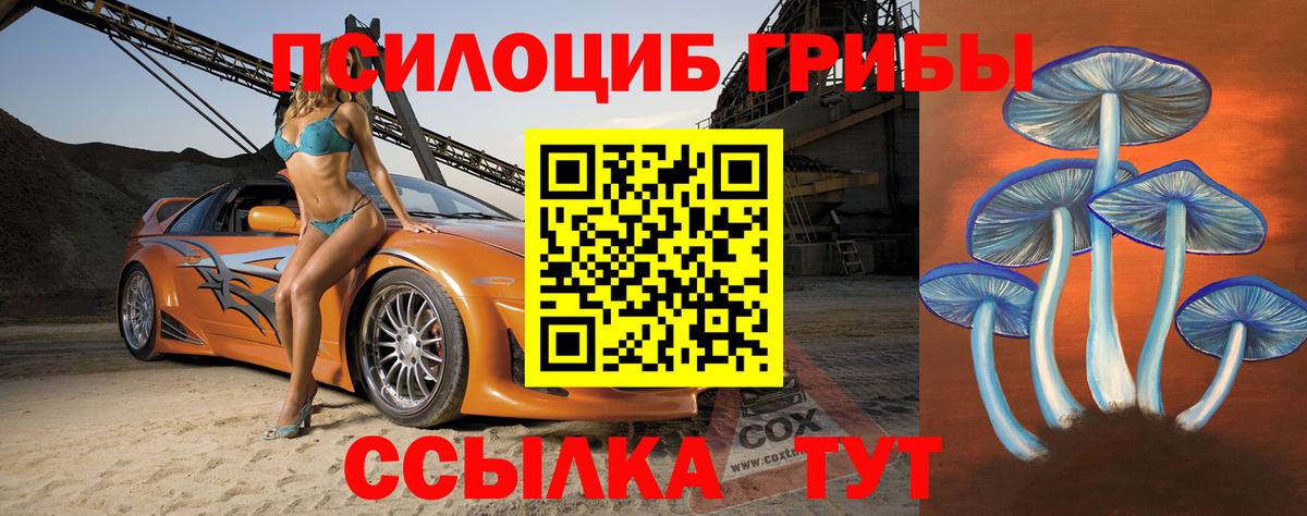 Галлюциногенные грибы Psilocybe Касимов