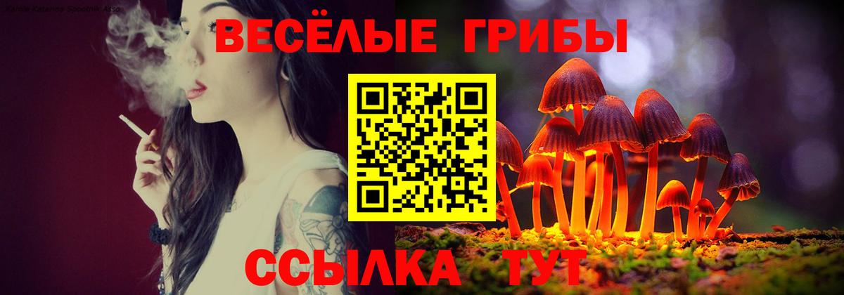 Касимов  Галлюциногенные грибы прущие грибы  Вход с VPN  Галлюциногенные грибы Psilocybine cubensis 